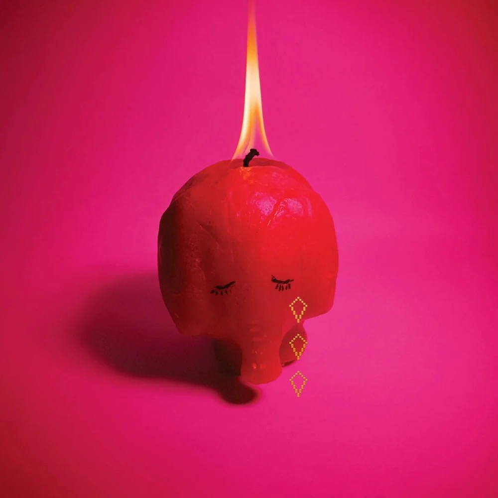 Pink Elephant - Image 3