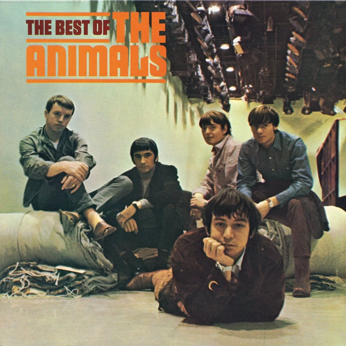 Best Of The Animals