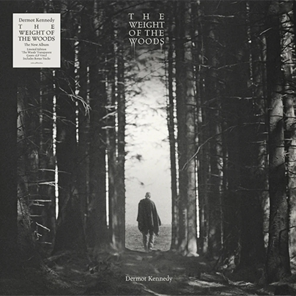 The Weight of the Woods - Image 2