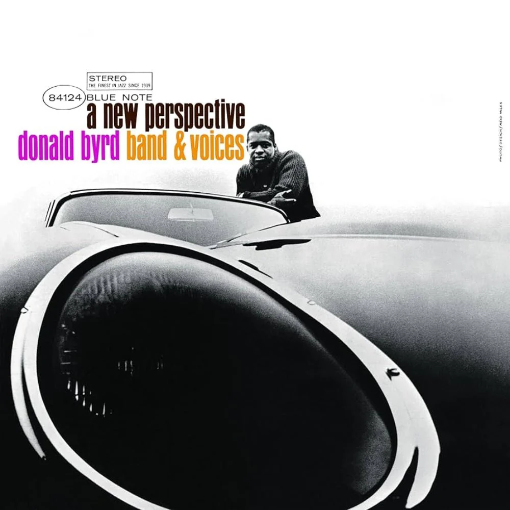 A New Perspective - Image 2
