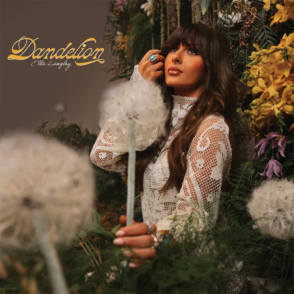 Dandelion - Image 2