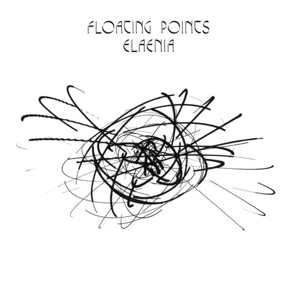 Elaenia