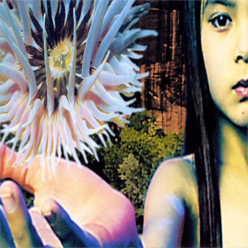 Lifeforms
