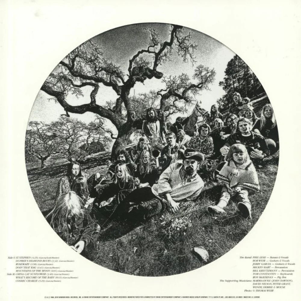 Aoxomoxoa - Image 3
