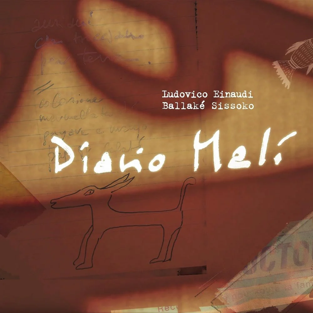 Diario Mali - Image 2