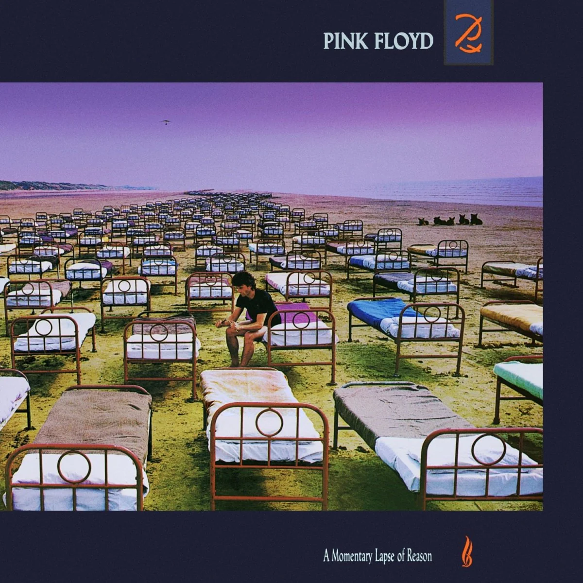 A Momentary Lapse Of Reason