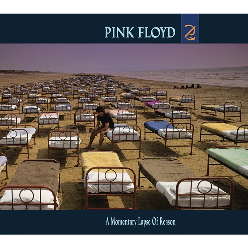 A Momentary Lapse Of Reason
