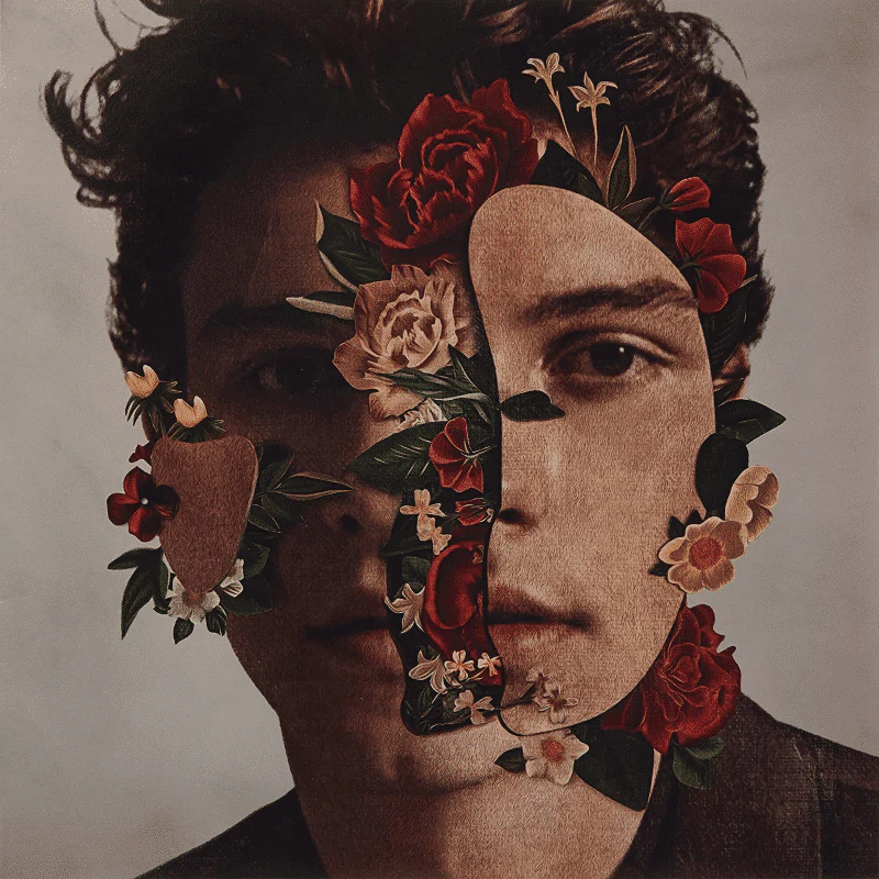 Shawn Mendes