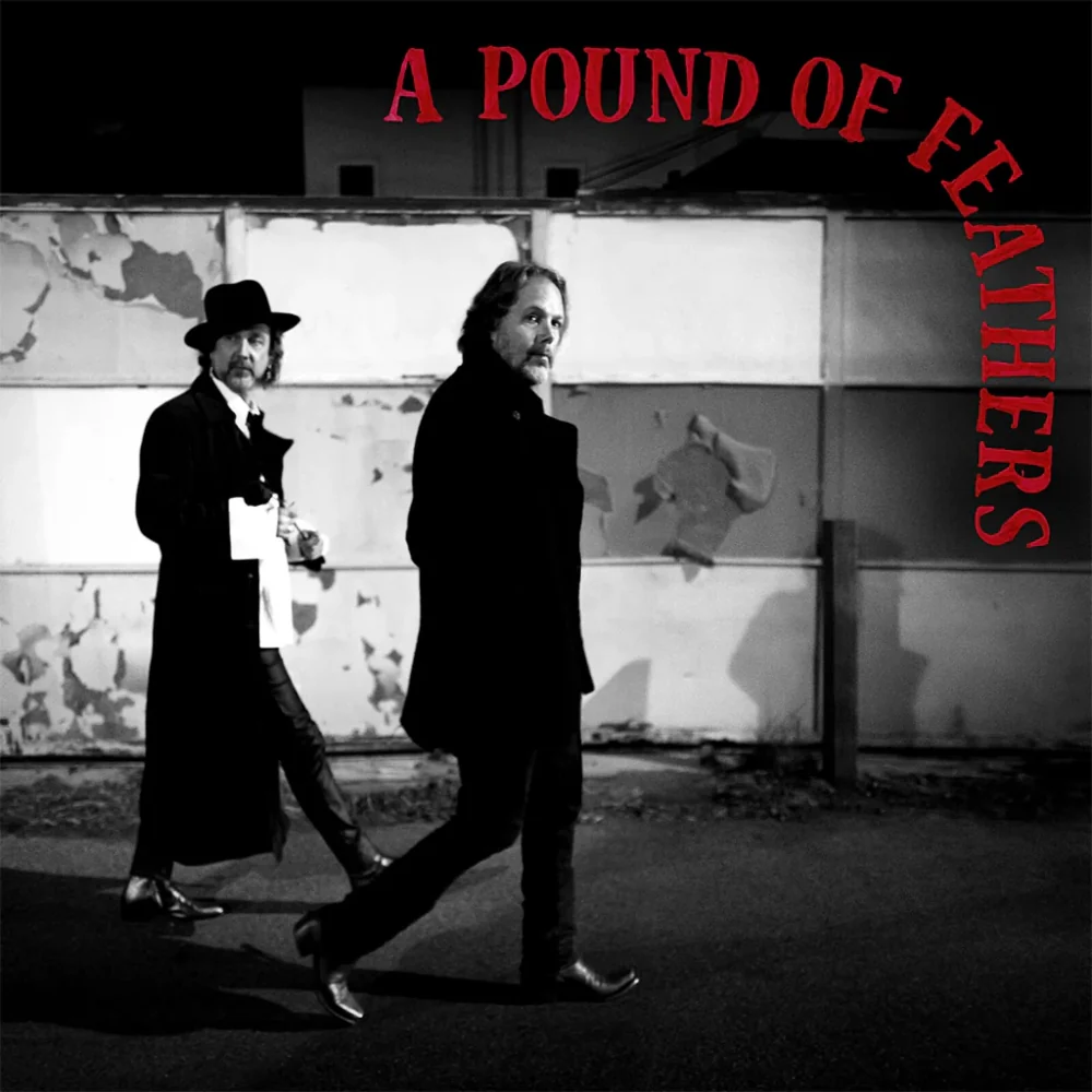 A Pound of Feathers - Image 2