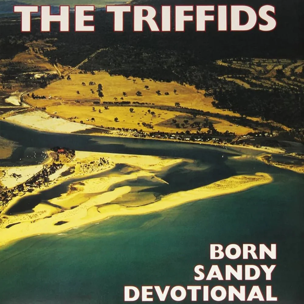 Born Sandy Devotional - Image 2