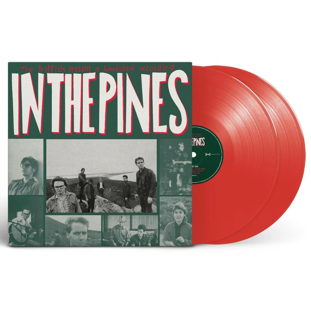 In The Pines