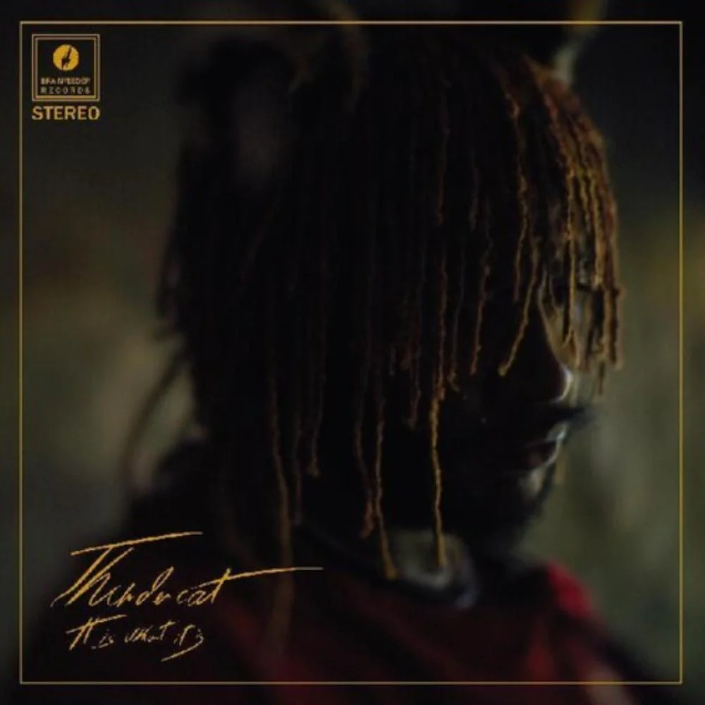 It Is What It Is - Image 2