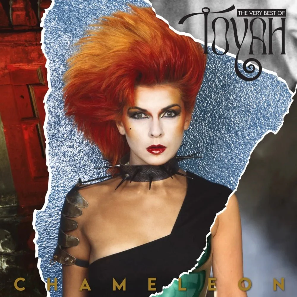 Chameleon - The Very Best Of Toyah - Image 2