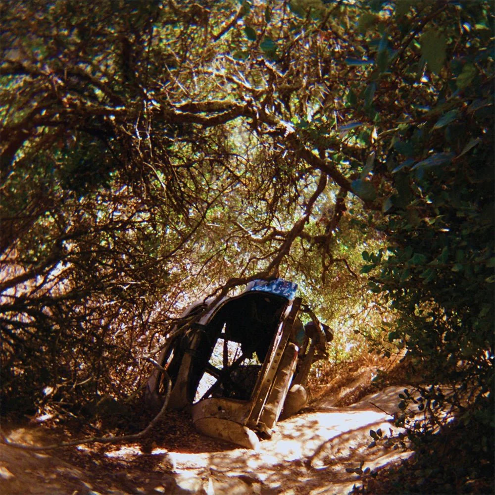 Possession - Image 2
